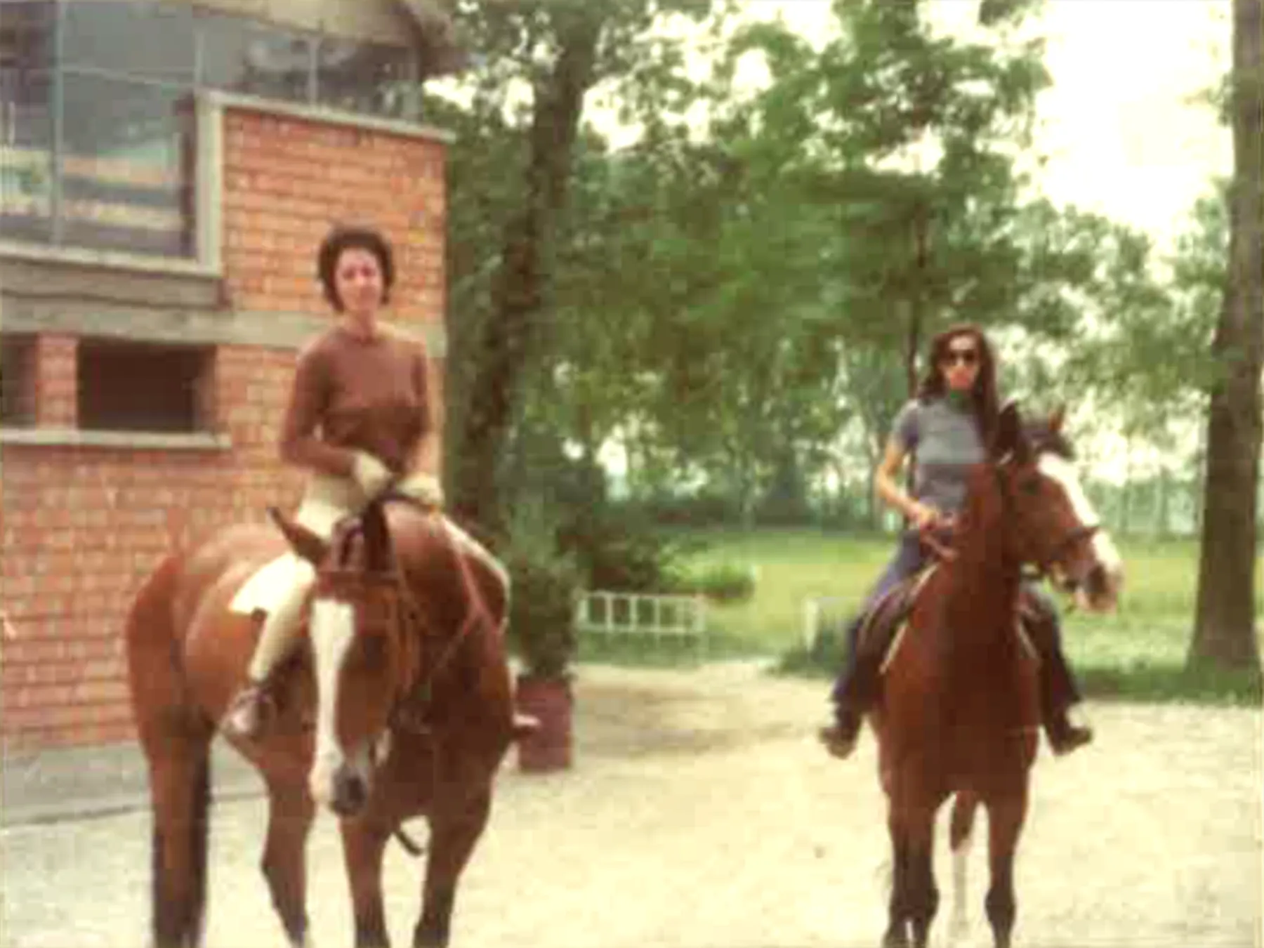 fondazione_dora_fondarice_01