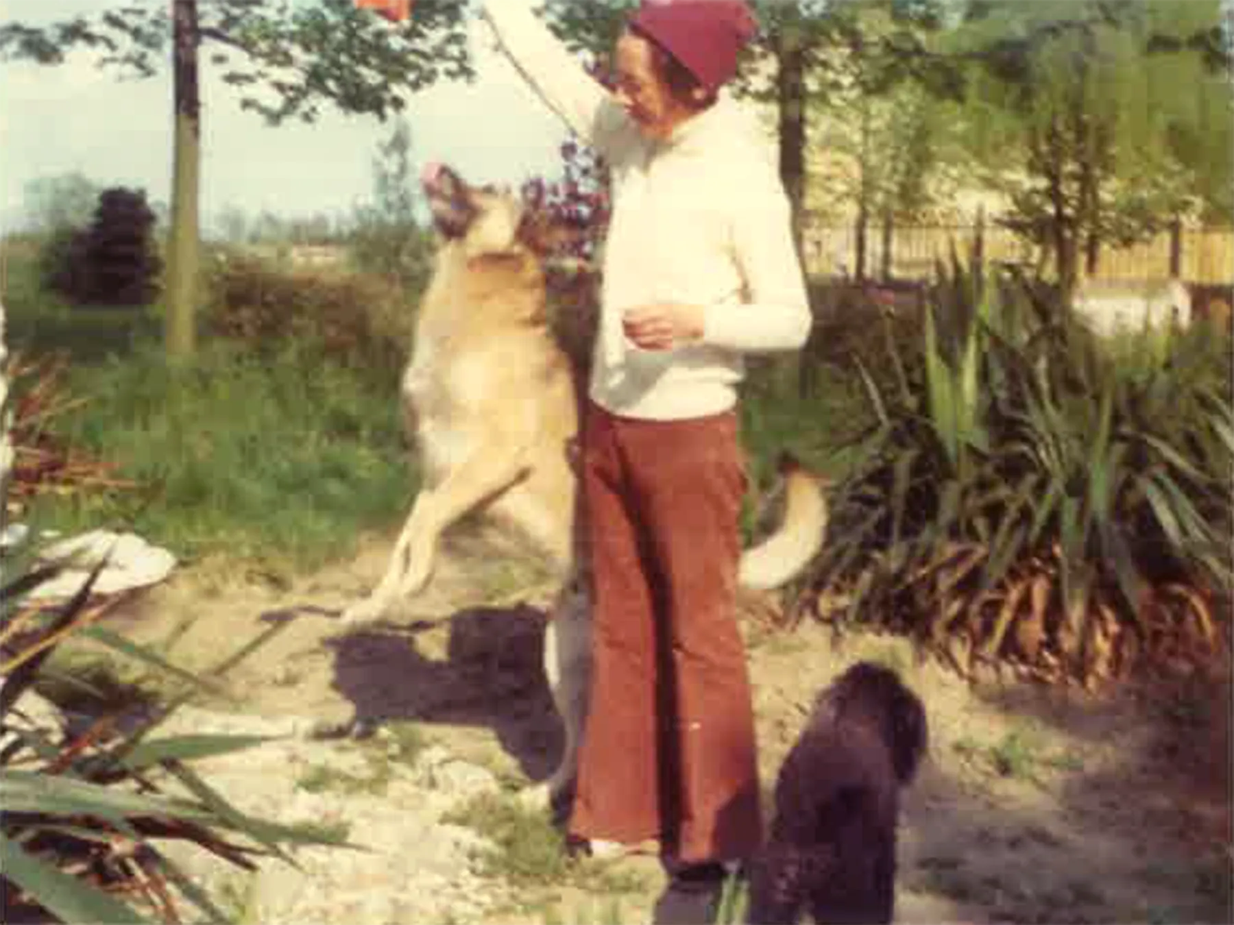 fondazione_dora_fondarice_02